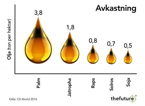 thefuture, Blogg, Biobränsle