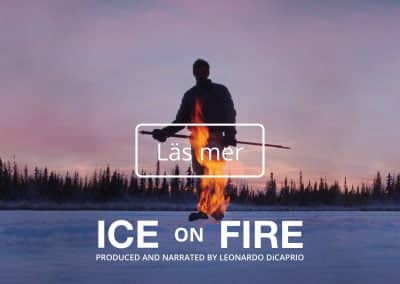 ICE on FIRE