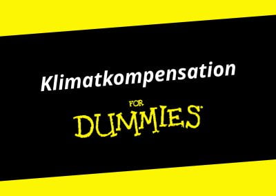 Klimatkompensation for Dummies