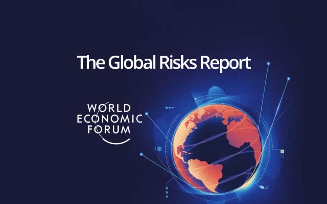 The Global Risks Report